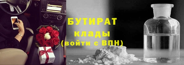 шишки Арсеньев