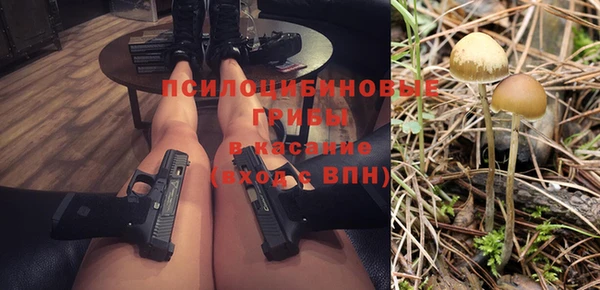 шишки Арсеньев