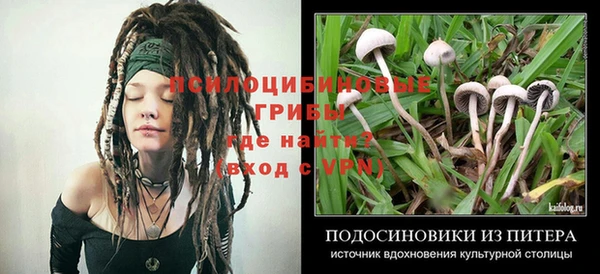 spice Балахна