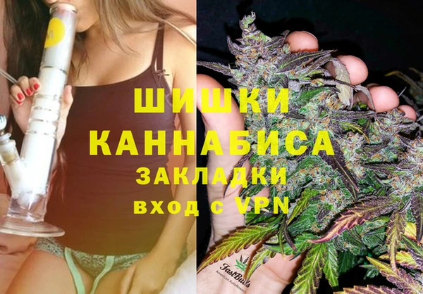 гашик Аркадак