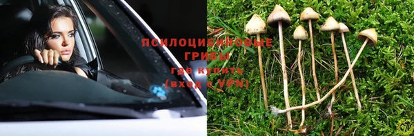 шишки Арсеньев