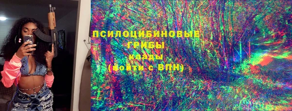 шишки Арсеньев