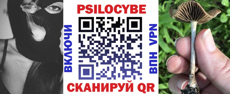 Купить закладки  Спас-Деменск  Псилоцибиновые грибы мицелий 